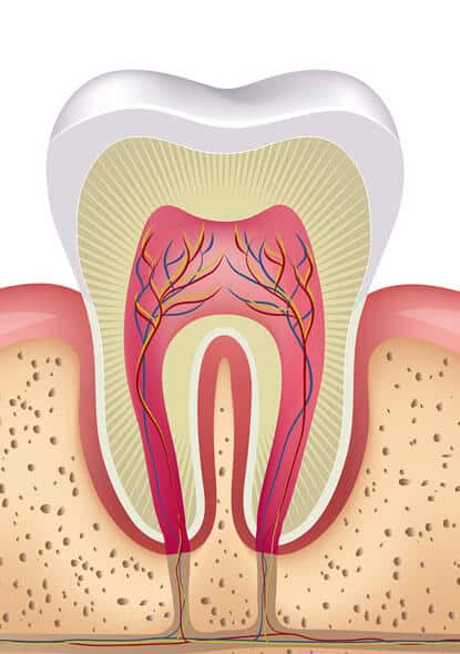Root Canal Treatment In Magnolia, TX